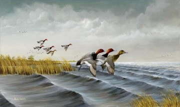 canards colverts sur les eaux sauvages Peinture à l'huile